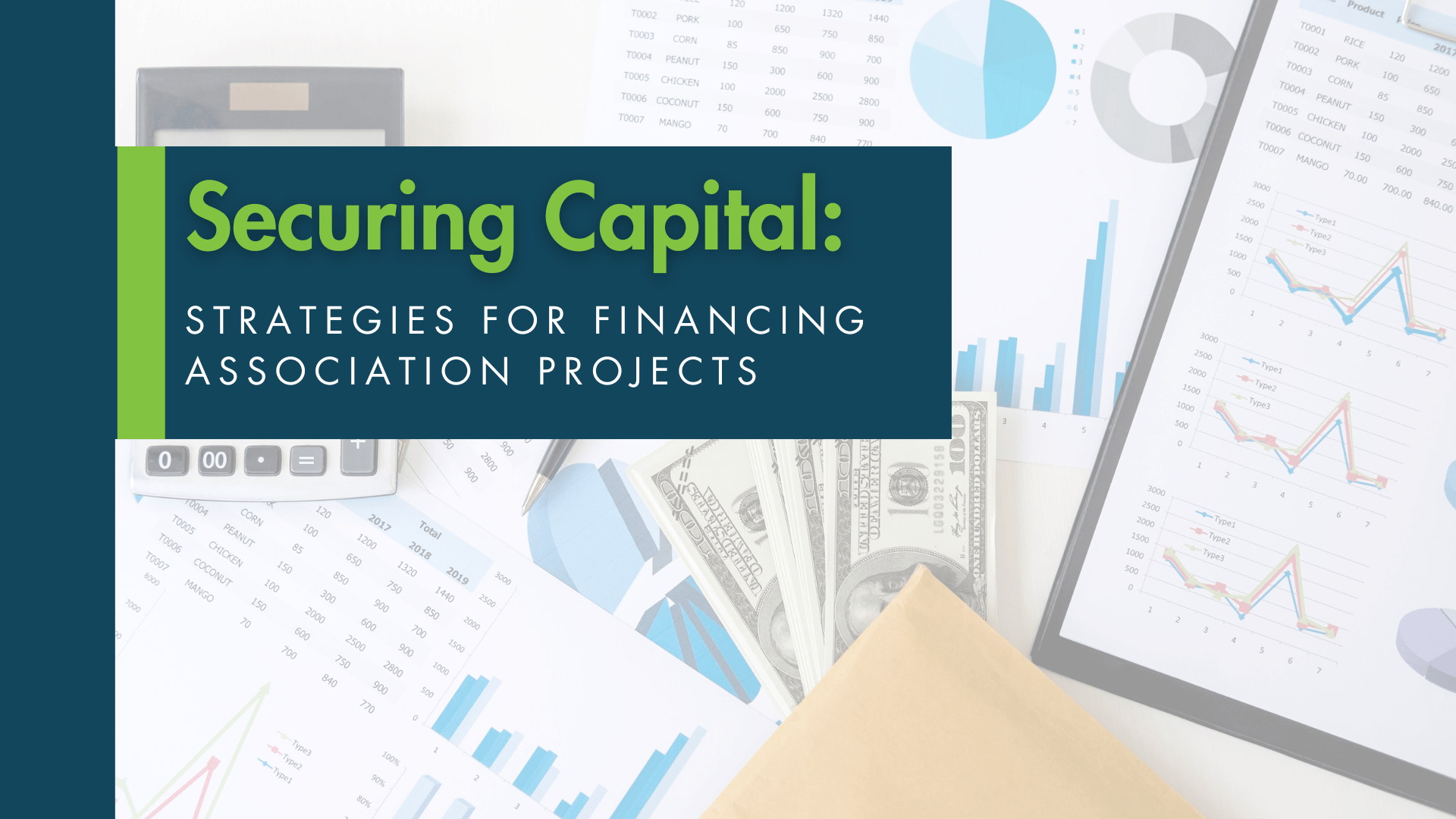 Securing Capital